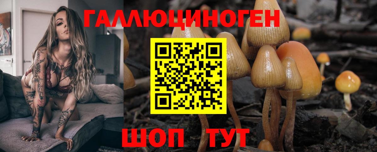 Галлюциногенные грибы прущие грибы Азов